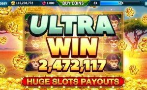 15wim bet